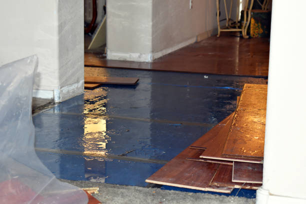 Professional Water Damage Restoration technician working in Harborcreek, PA